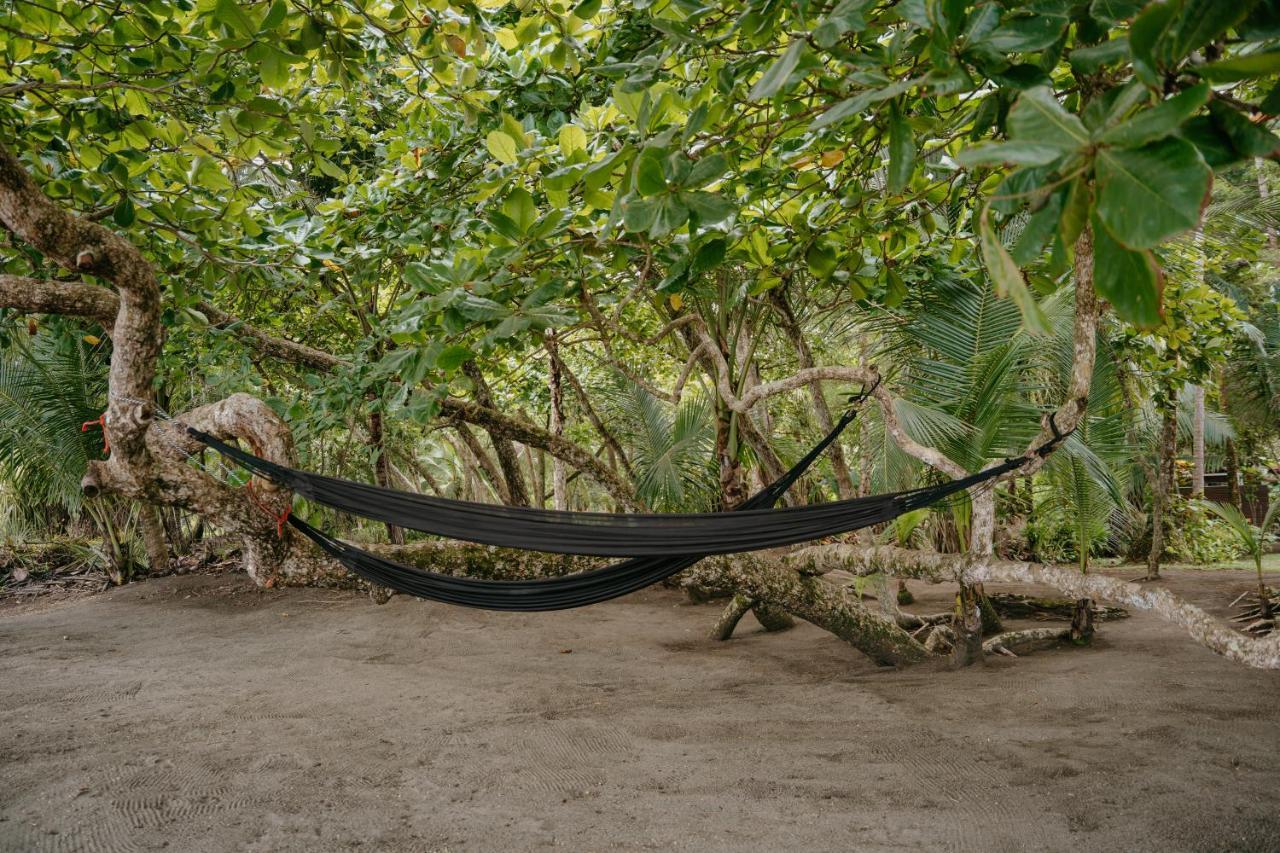 Dreamy Contentment Matapalo  Εξωτερικό φωτογραφία